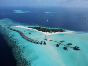 Cocoa Islands, Maldives | Go Discover Abroad